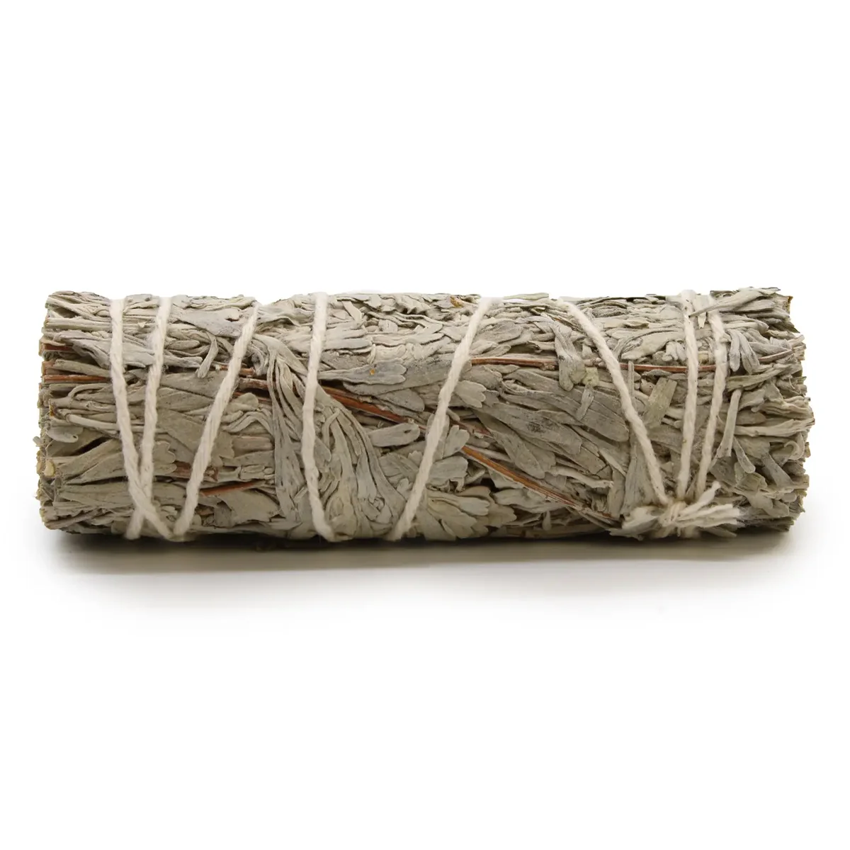 Blue sage smudge stick 10 cm bundle with tightly wrapped dried leaves for cleansing rituals on white background