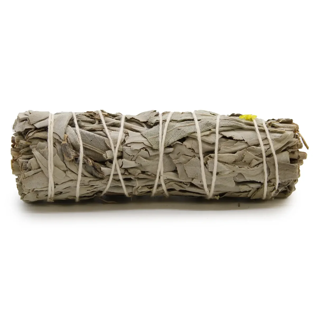 Blue sage smudge stick bundled with white sage, measuring approximately 10cm, used for cleansing rituals