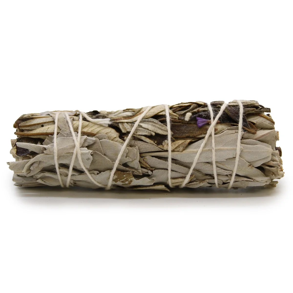White sage smudge stick with Yerba Santa, bundled and tied, measuring approximately 10cm long on white background