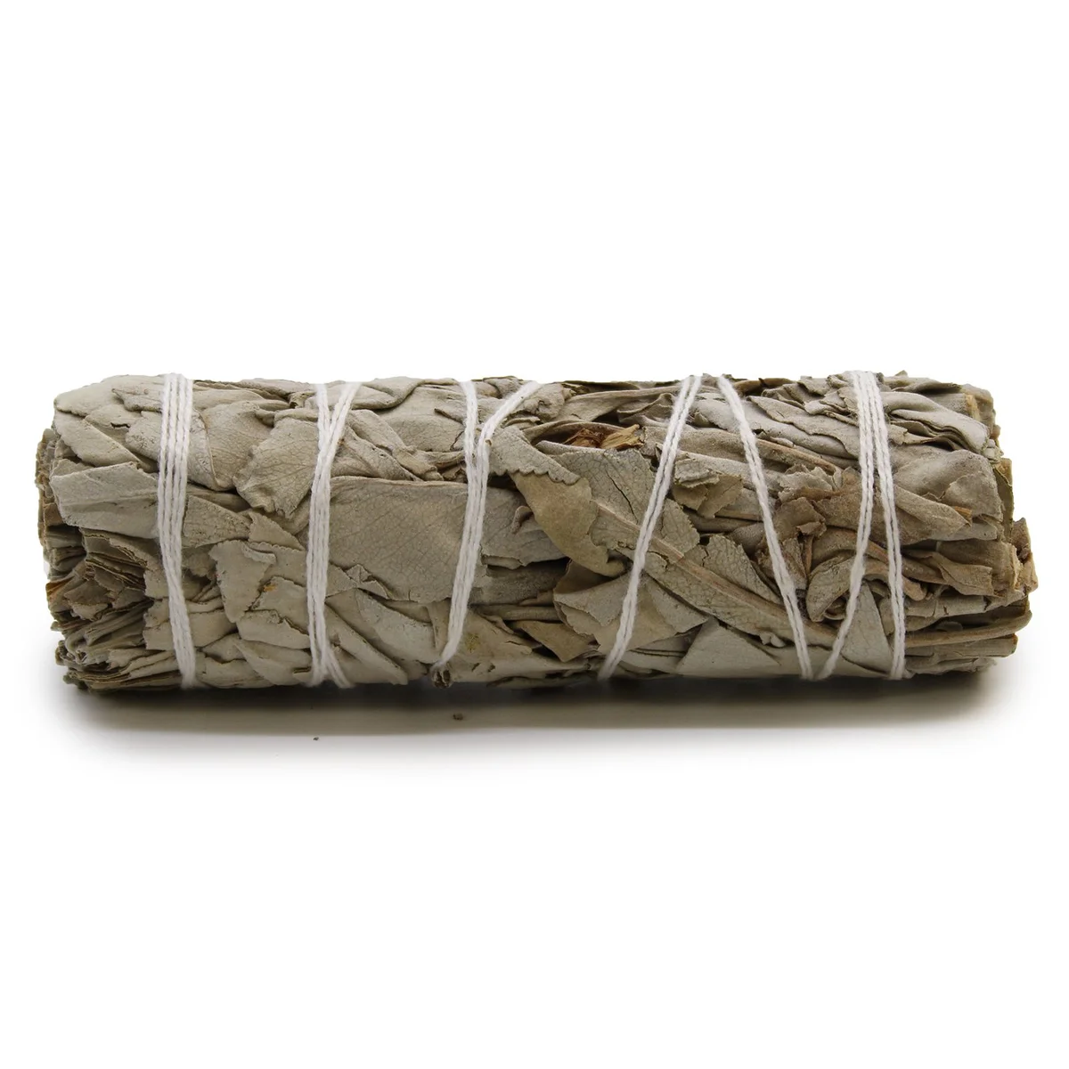 White sage smudge stick measuring 10cm, bundled and tied for cleansing and ritual use