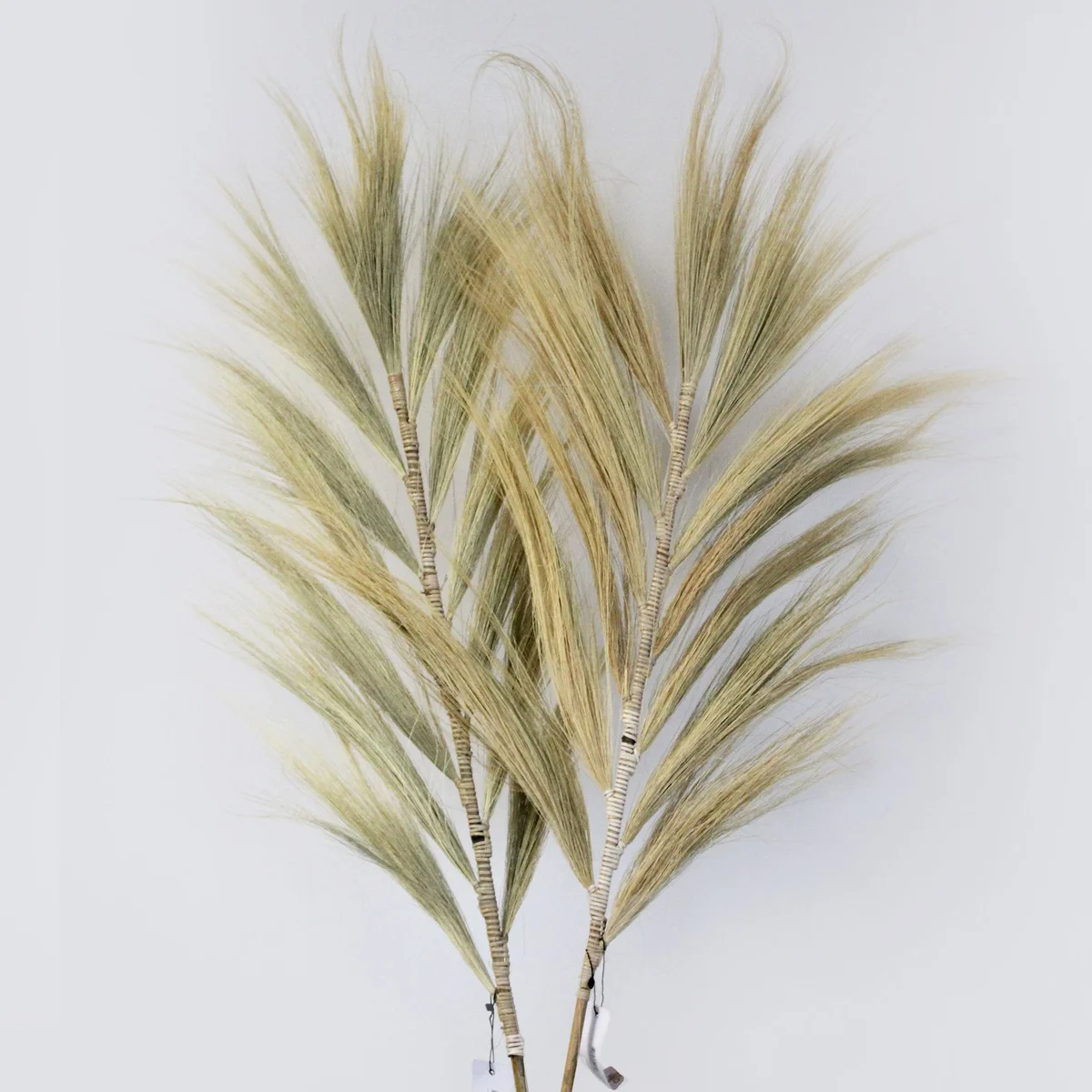 Rayung grass wall art in blond color, measuring 2 meters, displayed against a plain background