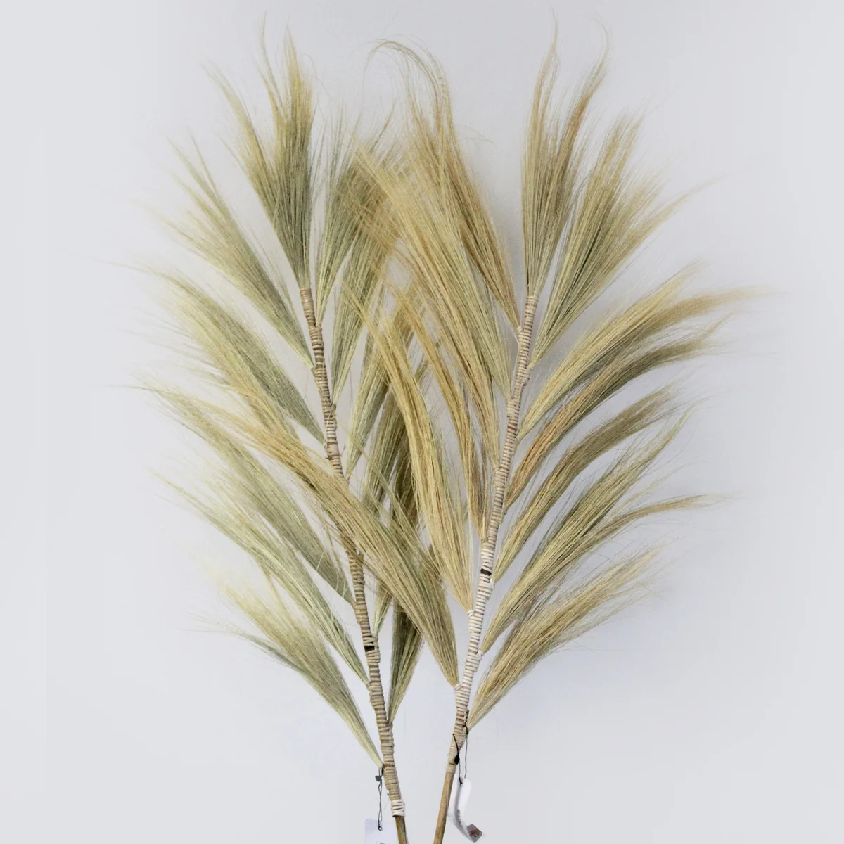 Rayung Grass Blond 2m natural wall decoration with long, slender, light blond grass strands against white background