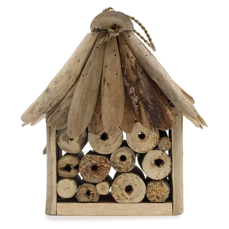 Driftwood insect box with natural wood grain, rustic bee design, sturdy oak frame