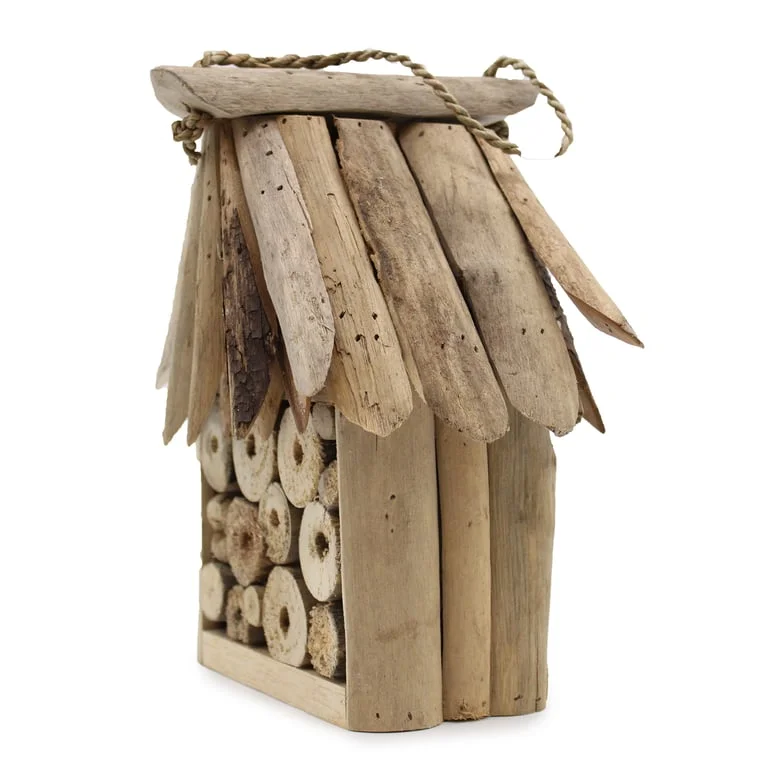 Bee insect box with driftwood design.