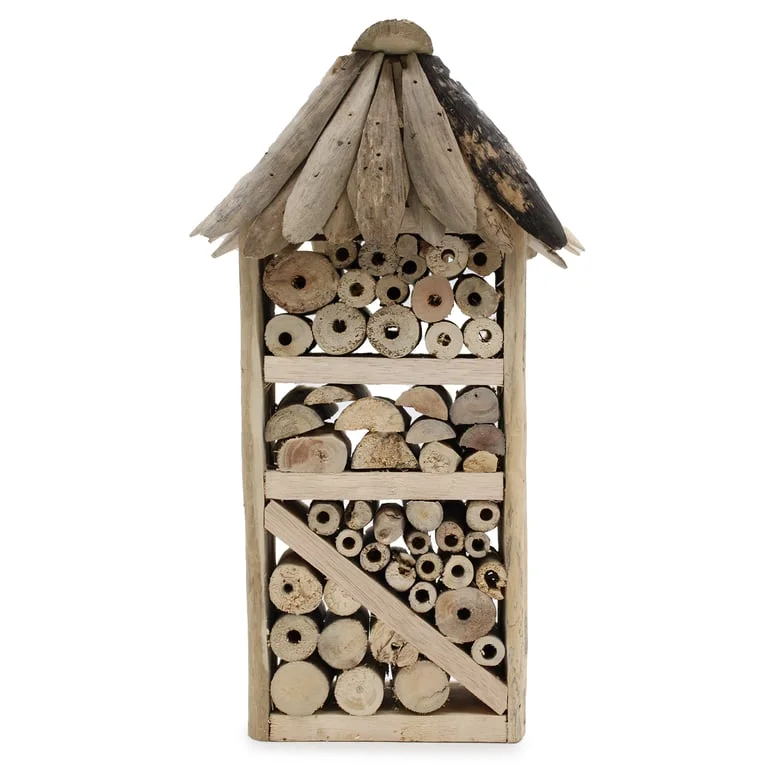 Driftwood insect box featuring bee and insect carvings, highrise design and worn wood texture.