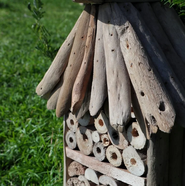 Driftwood storage box featuring bee and insect designs, high‑rise wooden compartment for storage