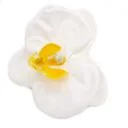 White craft soap flower in a peony shape with subtle petal detailing