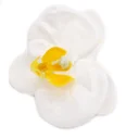 White soap flower shaped like paeonia, delicate petals in soft white.