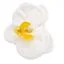 White decorative soap flower shaped like a paeonia blossom, crafted for home décor.