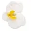 White paeonia crafted soap flower in bath soap flower form