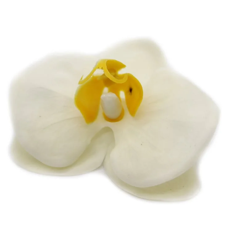Cream craft soap flower shaped like a paeonia.