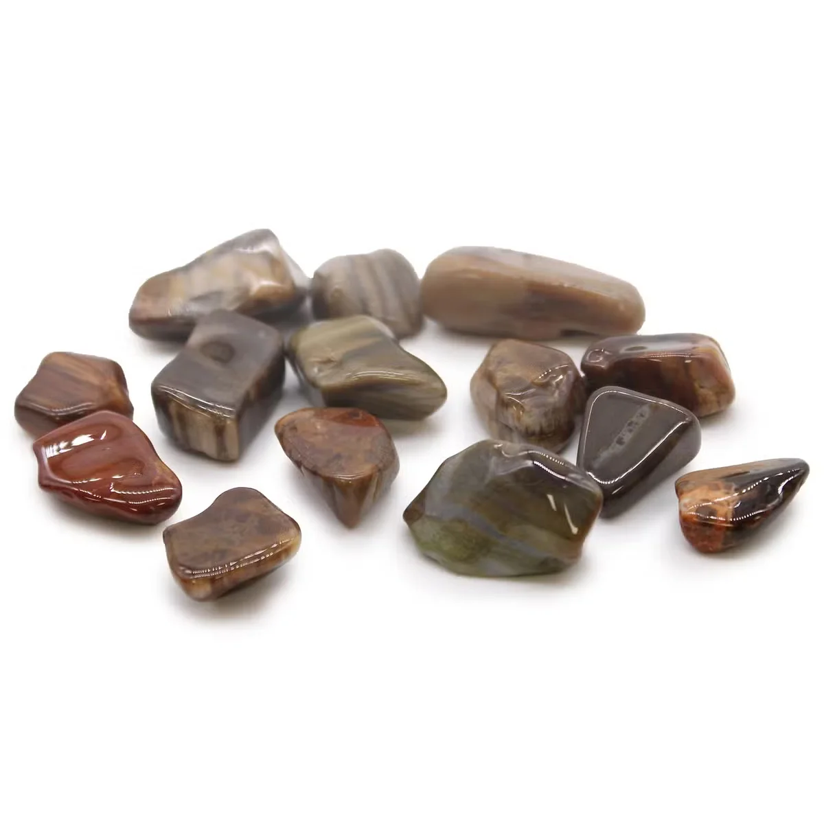 Medium tumble stone made of polished petrified wood decoration with natural wood grain patterns visible
