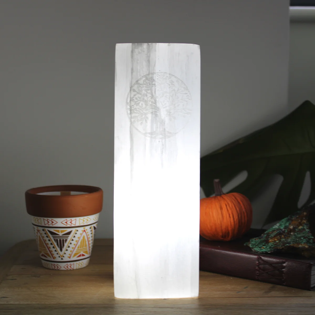 25cm selenite lamp with carved Tree of Life design glowing softly on a wooden surface against a dark background