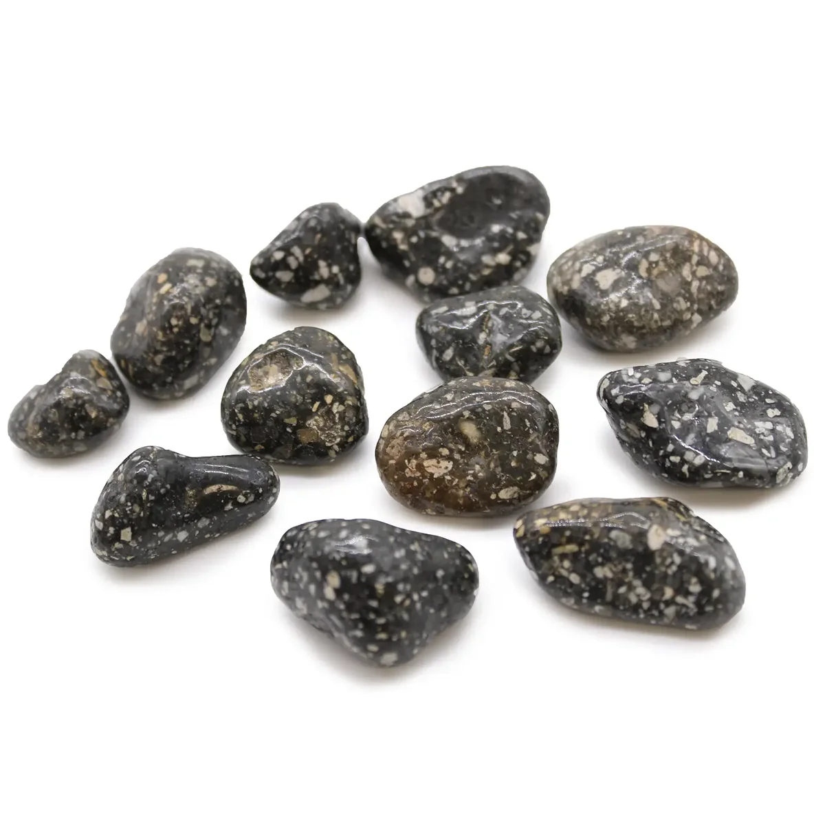 Medium tumble stones with Guinea Fowl pattern, smooth polished African stones in medium size for decoration or collection