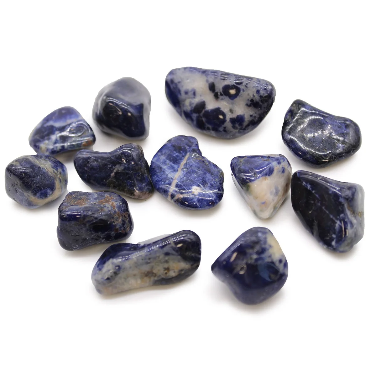 Medium-sized pure blue sodalite tumble stones arranged on a white background for display and sale