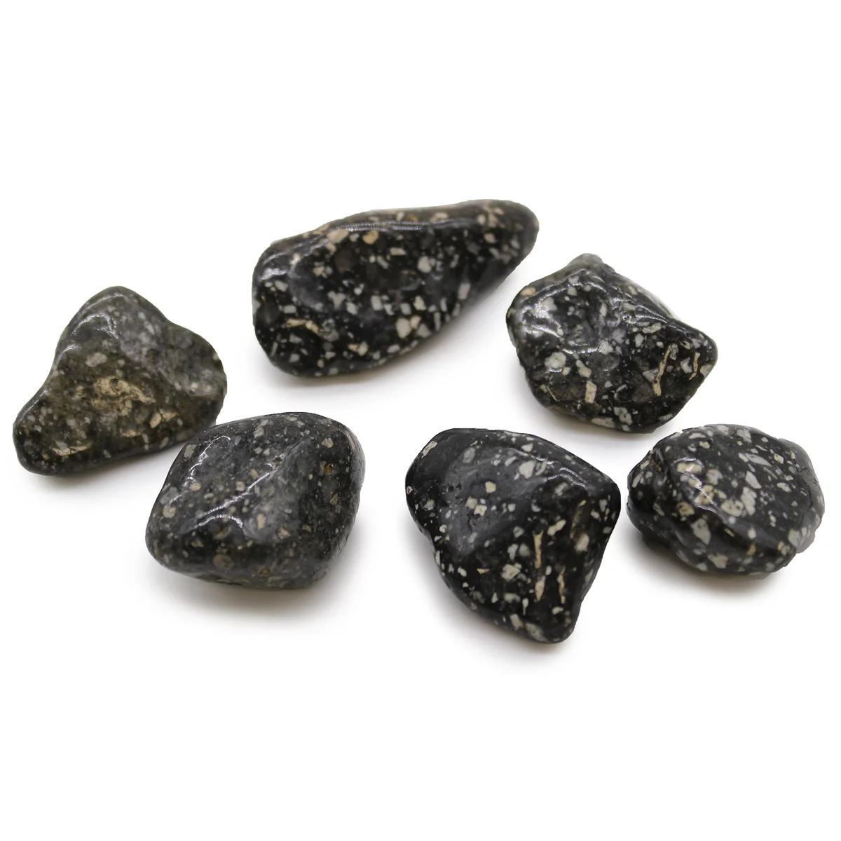 Large African tumble stones featuring a Guinea Fowl pattern, smooth polished stones for decoration or collection