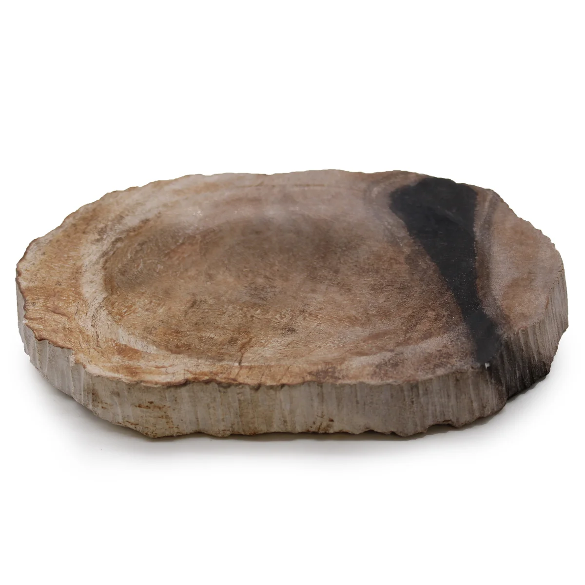 Brown black petrified wood soap dish, natural stone soap holder with carved exterior.