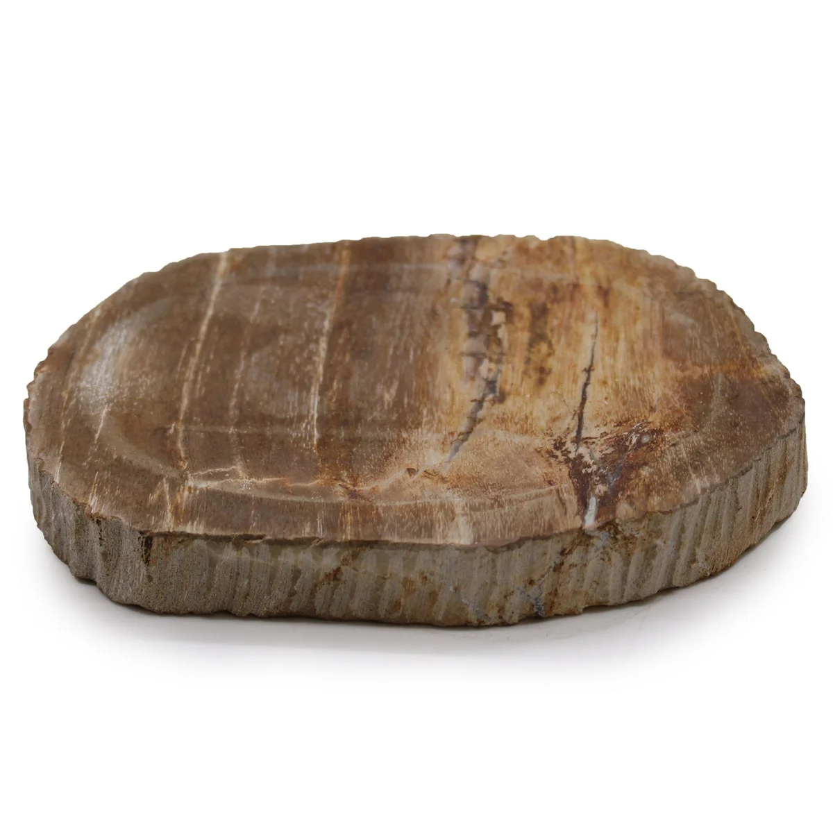 Petrified wood soap dish, brown, displaying natural wood grain.