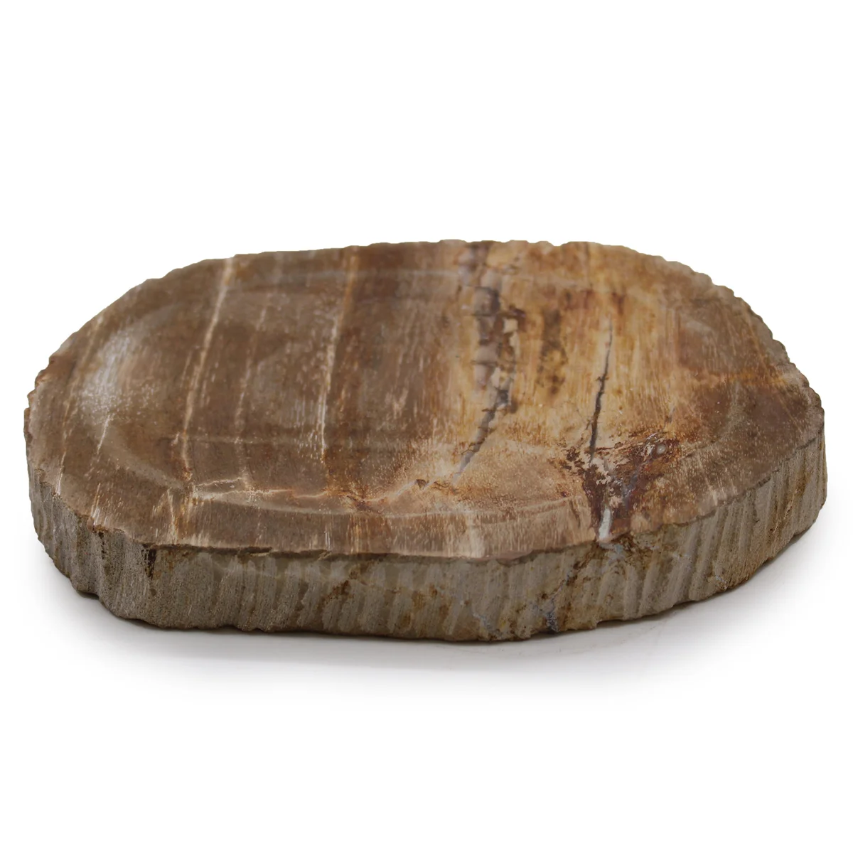 Brown petrified wood soap dish, natural soap holder
