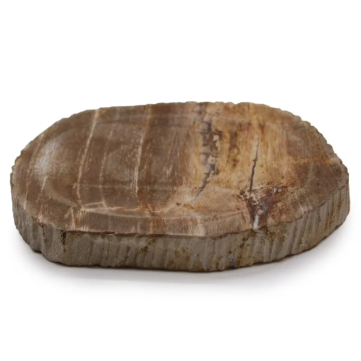 Brown petrified wood bathroom soap dish, a natural stylish addition.