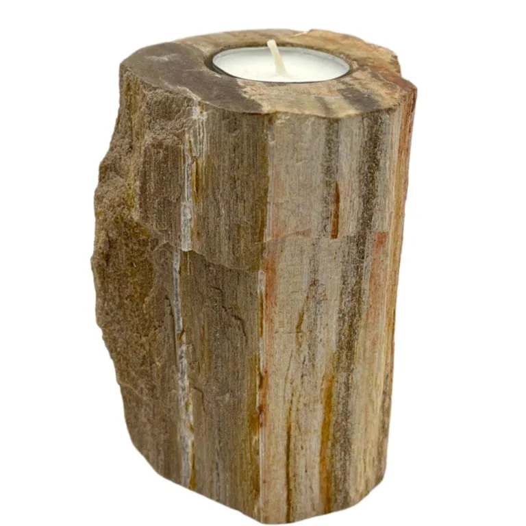 Petrified wood candle holder, single tall design with rustic stone finish and a solitary candle nestled inside.