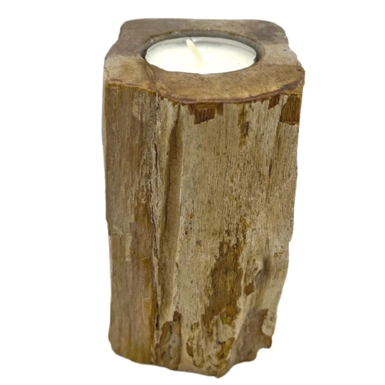 Tall candle holder made from petrified wood, slender design with natural wood grain visible, single glass insert.