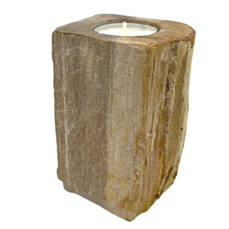 Single tall natural wood candle holder made from petrified wood, displaying a flame