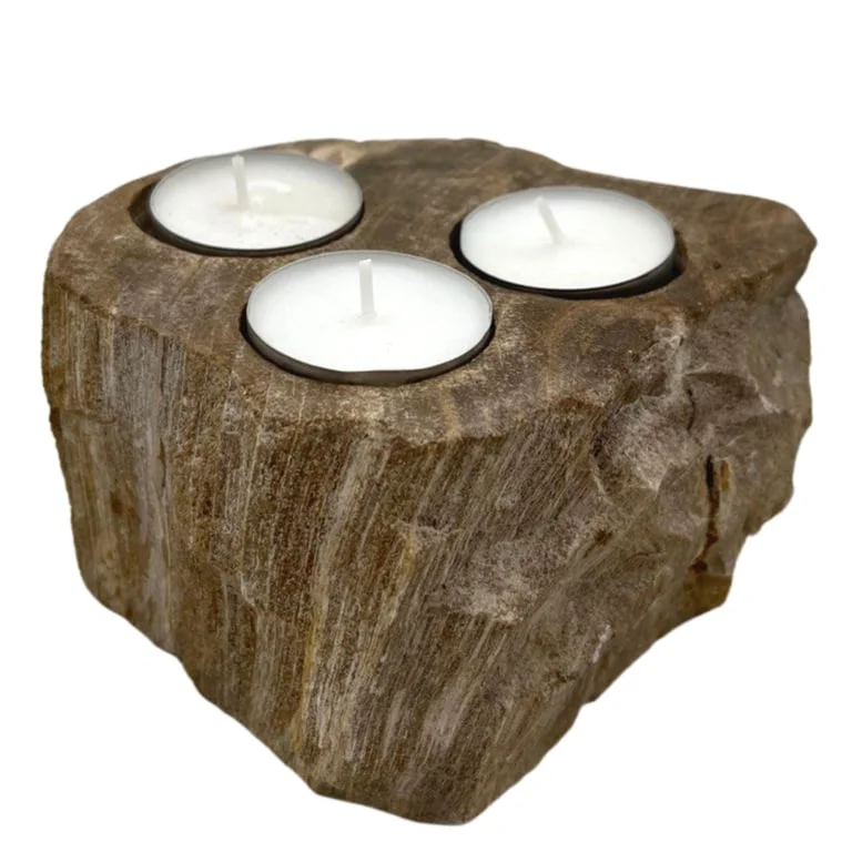 Triple candle holder crafted from petrified wood with three candle niches.