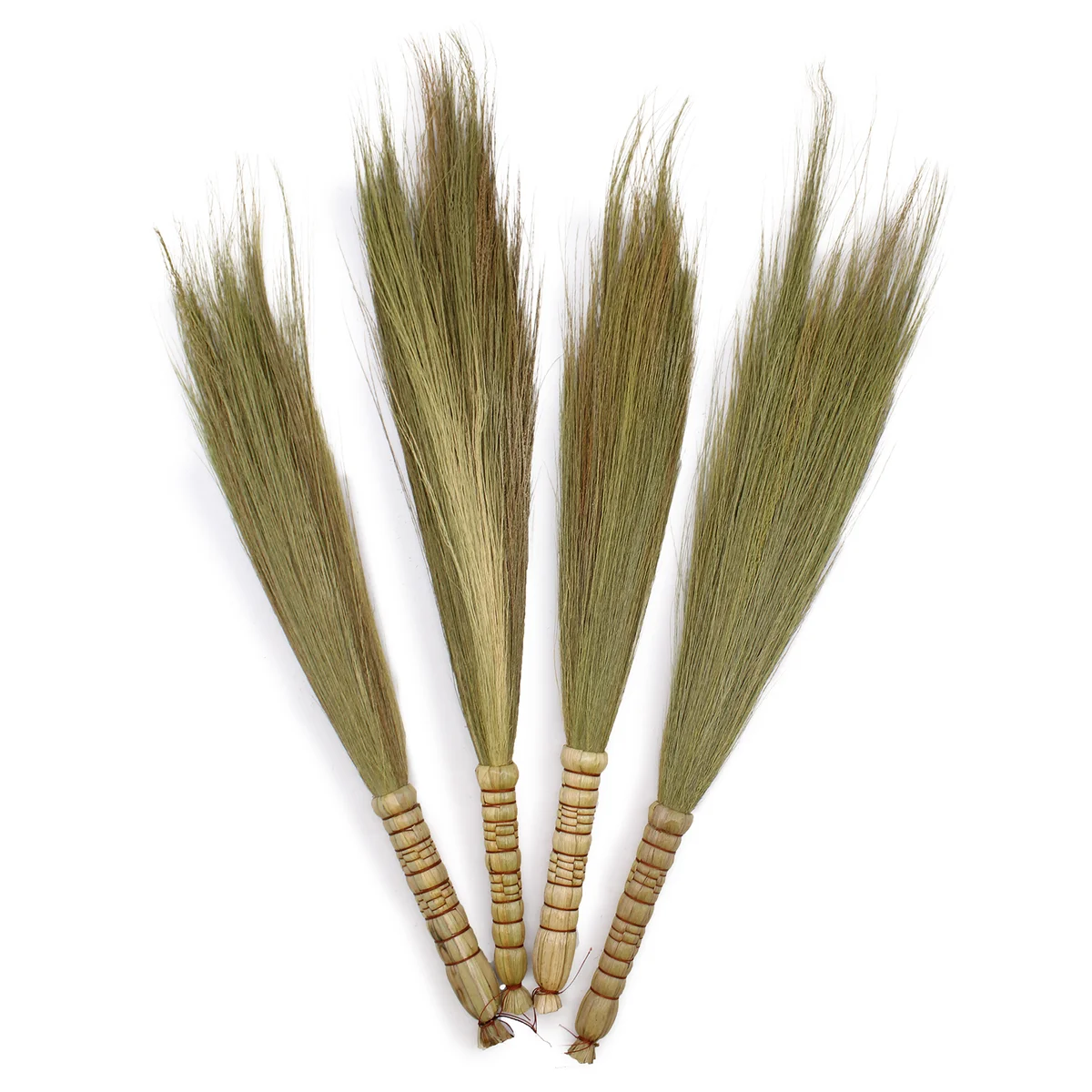 Set of four natural pampas broom sticks displayed together, showcasing decorative pampas grass in a natural arrangement