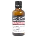 Bottle of Wintergreen Essential Oil 50ml with green label on plain white background