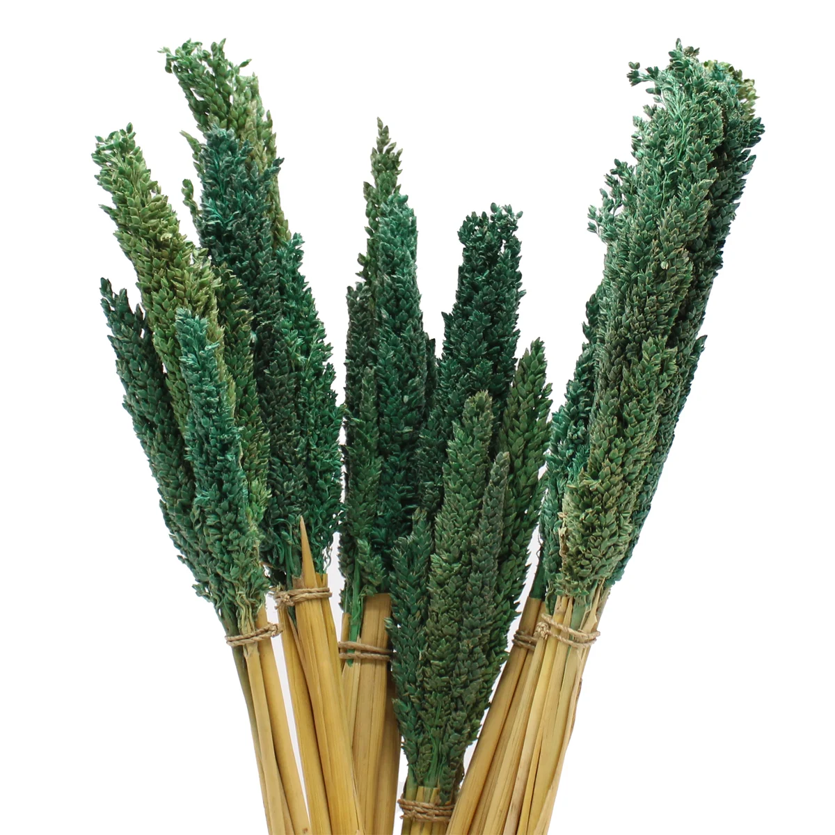 Teal cantal grass bunch in a decorative arrangement, perfect for teal home decor accents