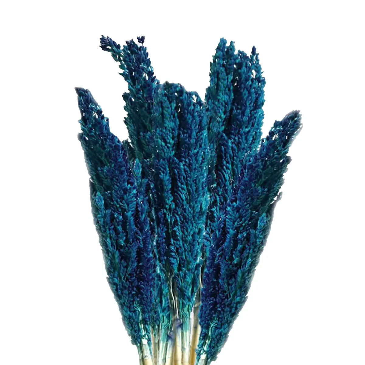 Blue decorative grass bunch