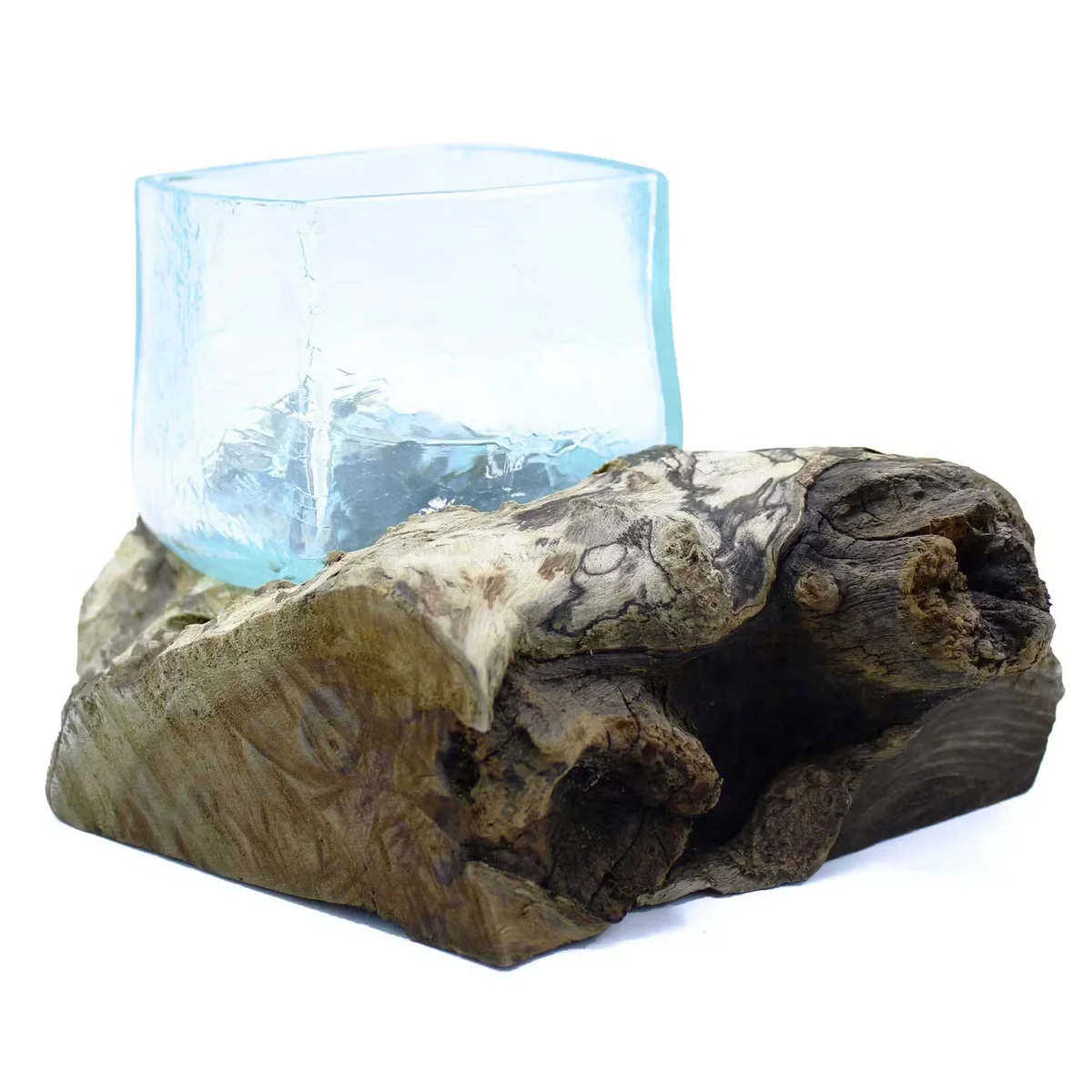 Molten glass figurine in a crackled glass tank mounted on a wooden base, showcasing textured glass craftsmanship