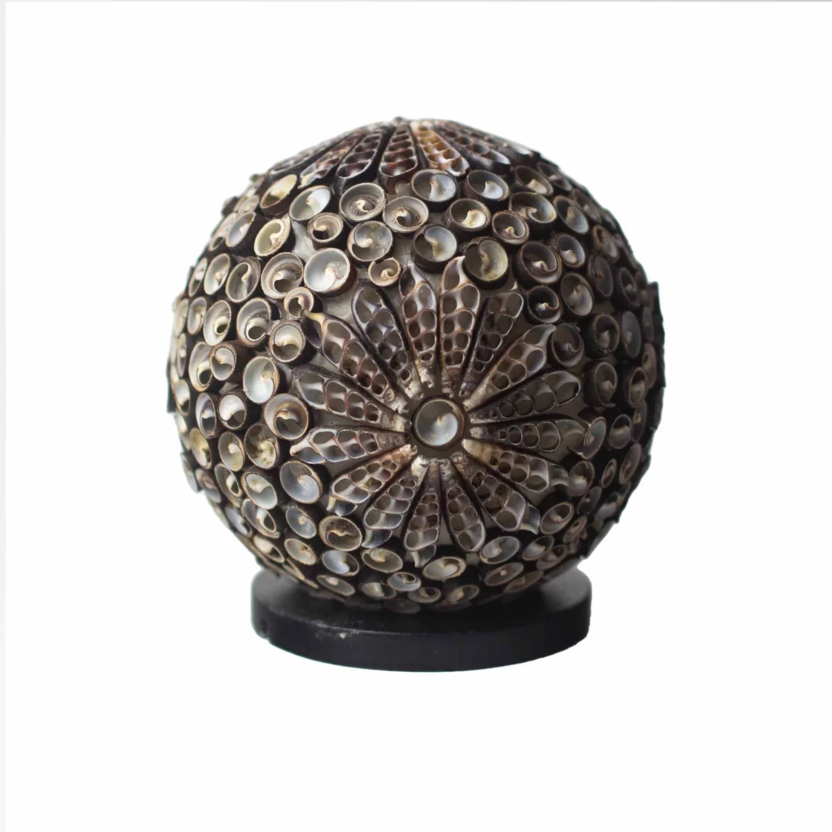 Boho sea shell lamp with 15cm chocolate twist globe shade on white background