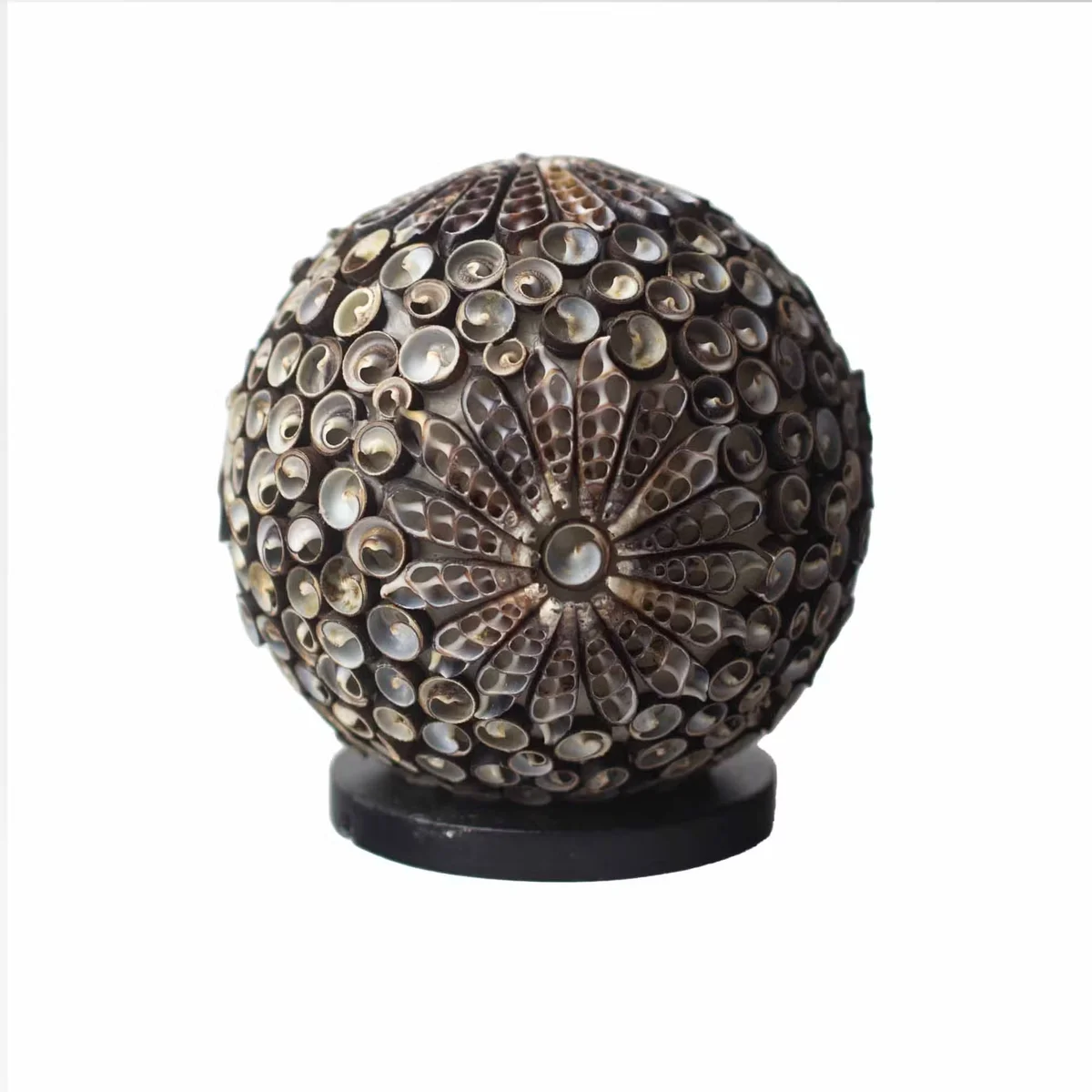 Boho style lighting featuring a 15cm chocolate twist globe sea shell lamp with natural boho design elements