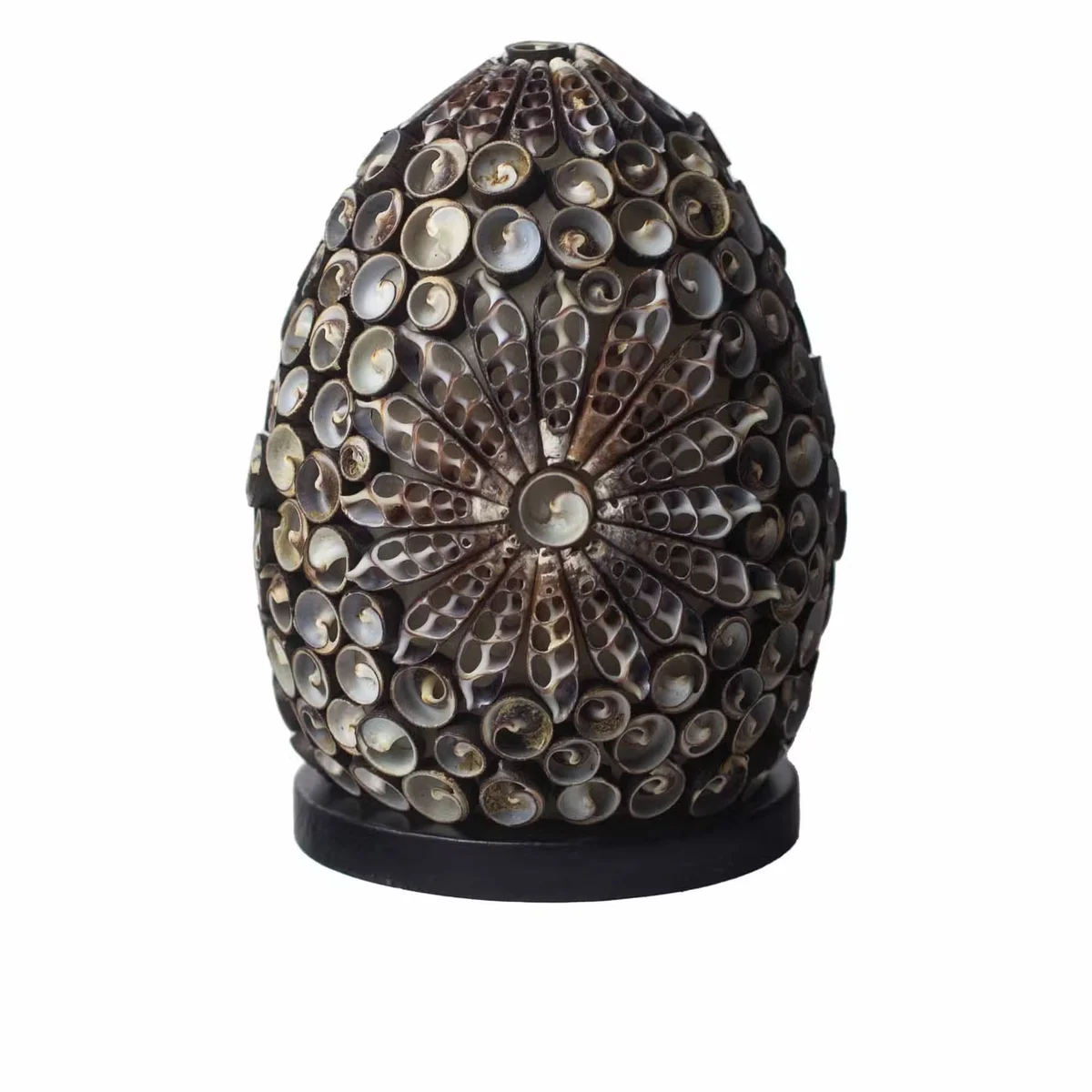 Chocolate twist oval boho sea shell 15cm decorative lamp with warm light on white background