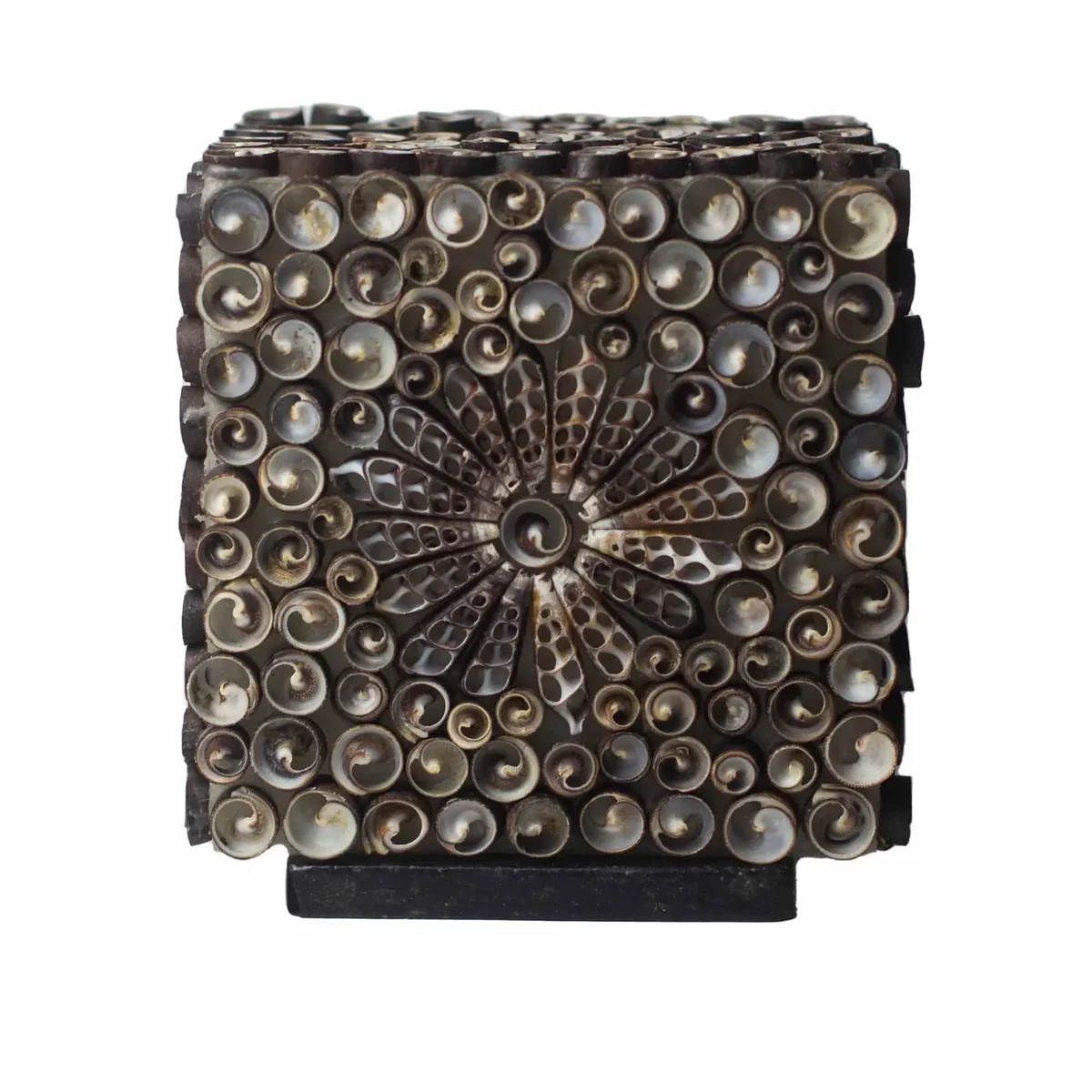 Chocolate twist lamp shaped like a 15cm square with boho sea shell design in chocolate brown tones