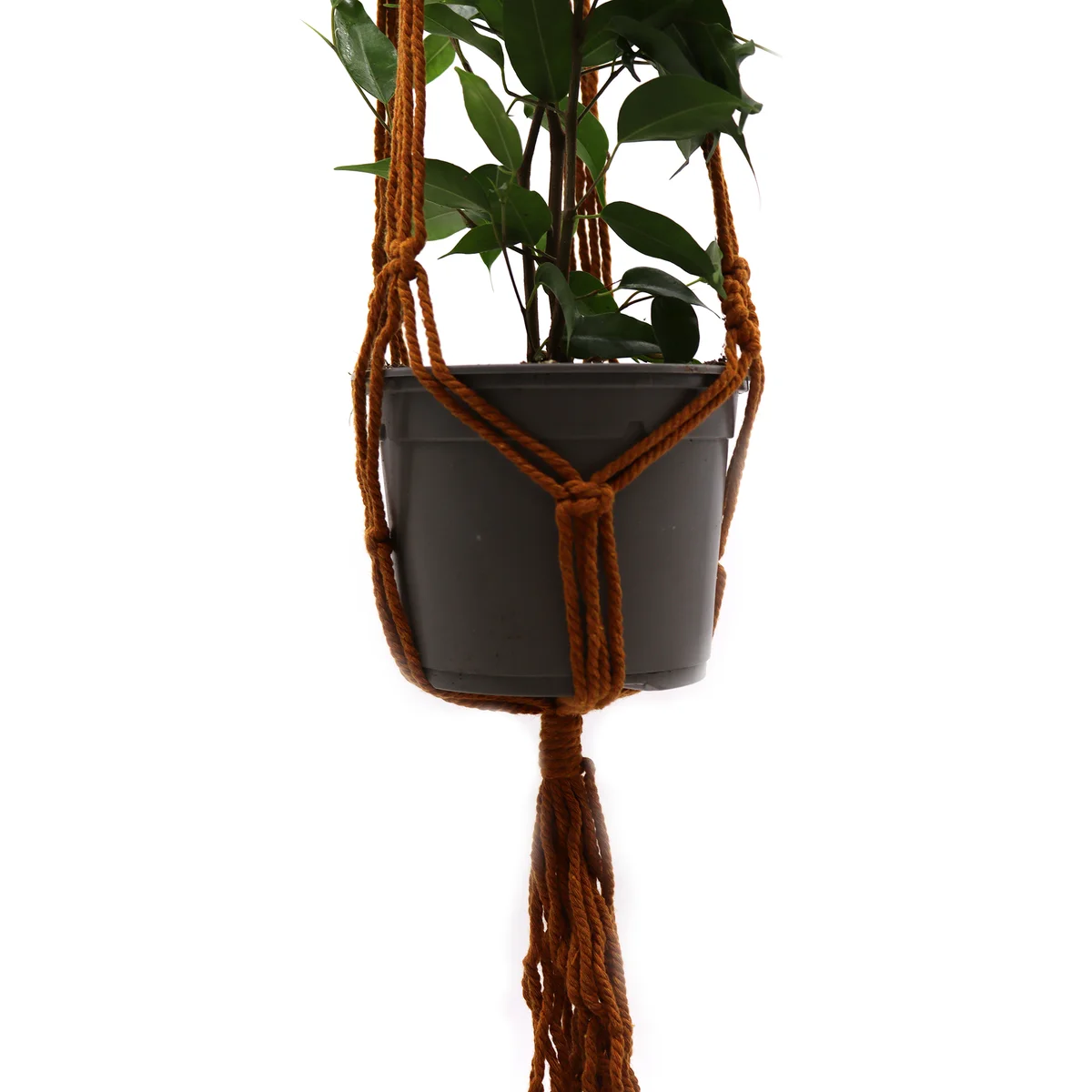Macrame kitchen accessory in dark chocolate colour, medium pot holder with braided loops and hanging hooks.