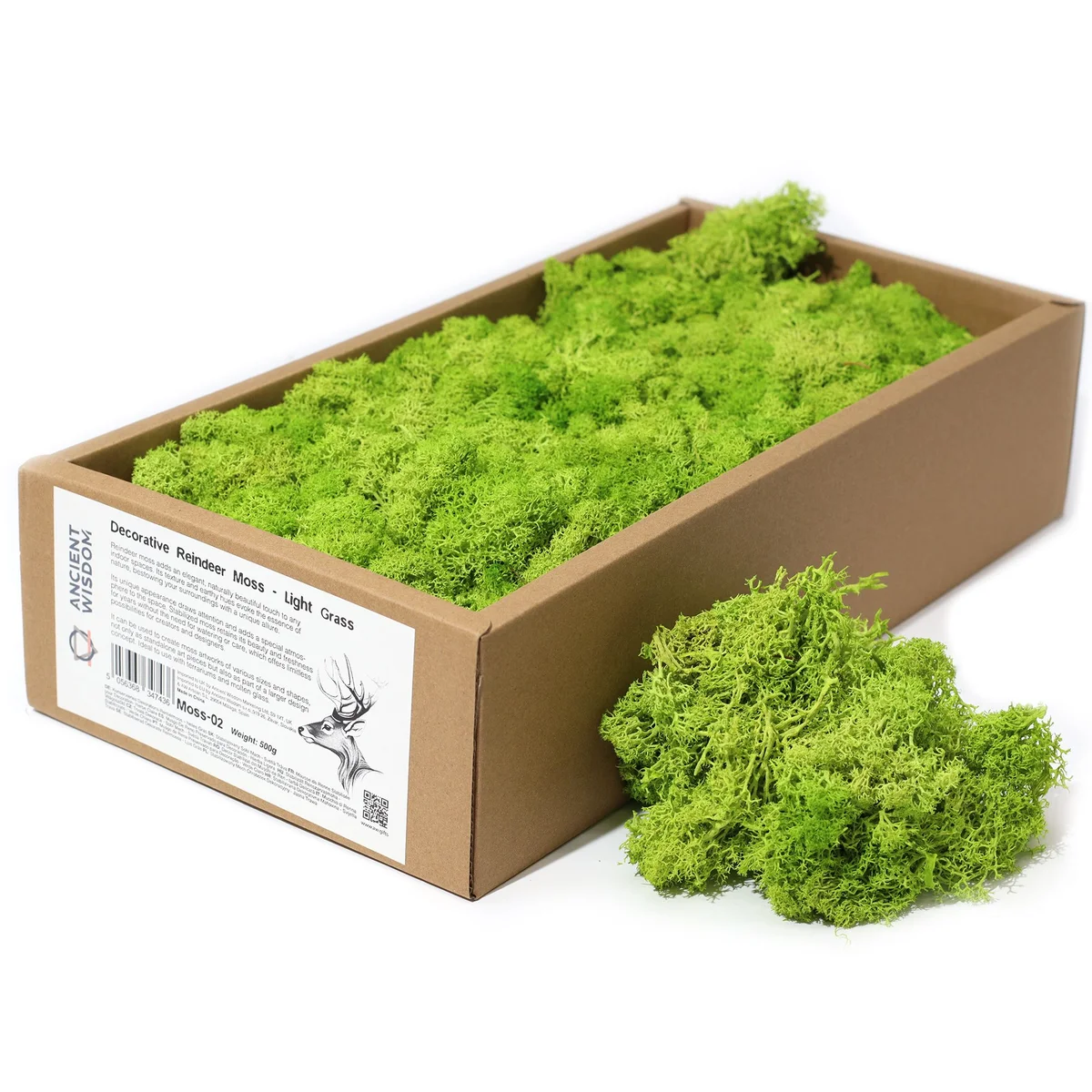 Reindeer moss decoration in light grass packaging, bulk bundle weighing about 500g