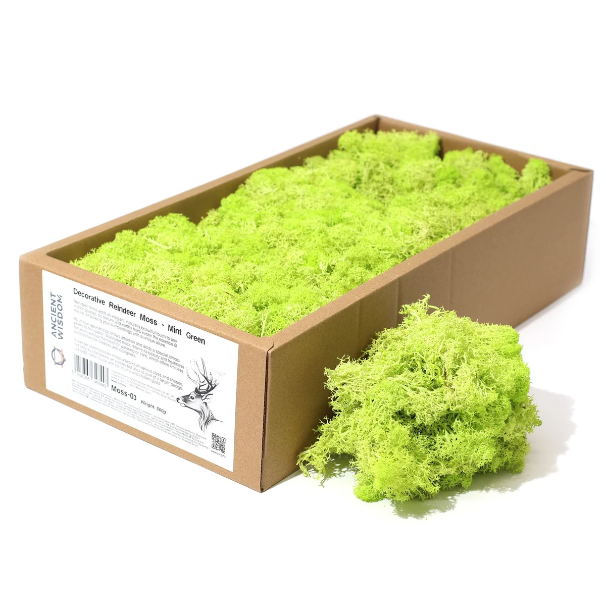 Mint green reindeer moss displayed in a translucent bag.