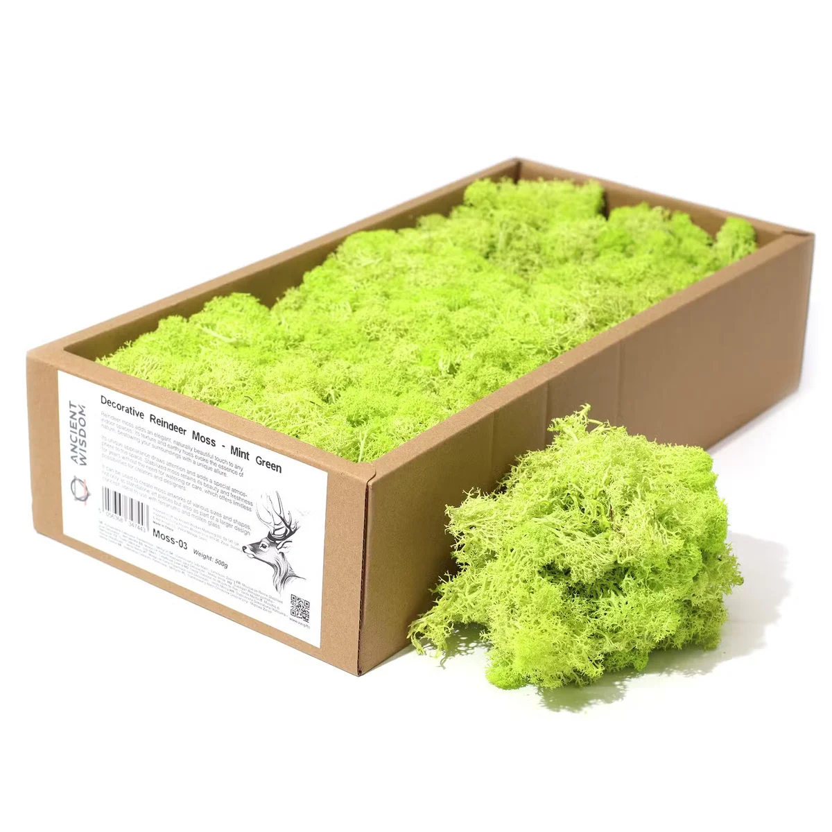 Mint green reindeer moss bundle in a rustic brown pot – mint green moss decor for festive home.