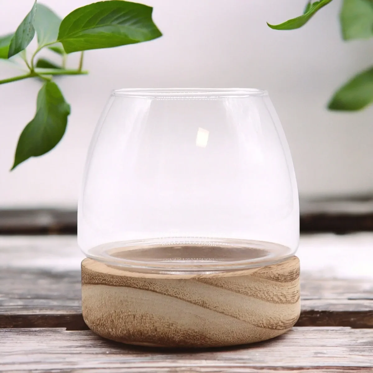 Mini terrarium displayed on a natural tung wood terrarium base with clear glass enclosure for plants or decor