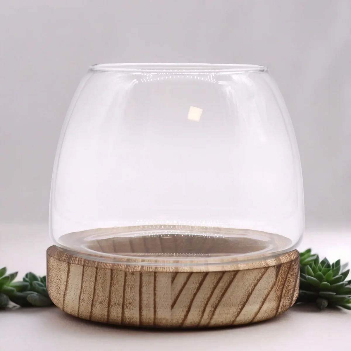 Small terrarium resting on a natural tung wood surface, showcasing natural tung wood decor
