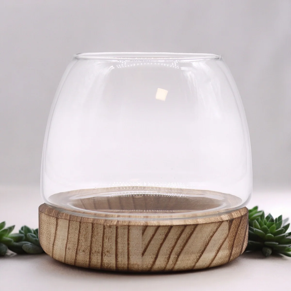 Small terrarium on natural tung wood, holding vibrant indoor plant display