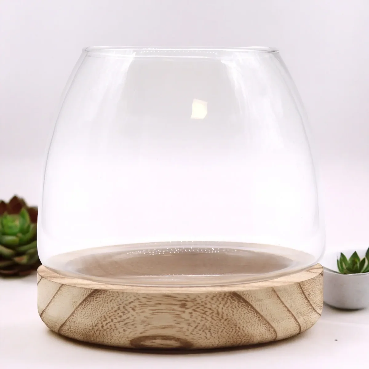 Medium natural tung wood terrarium resting on a glass base, showcasing a vibrant indoor plant display.