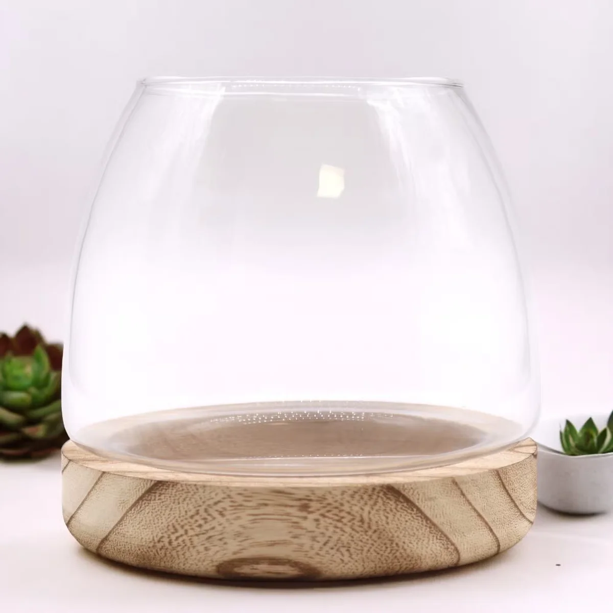 Indoor plant terrarium sits on natural tung wood base, glass container with greenery inside, rustic wood finish.