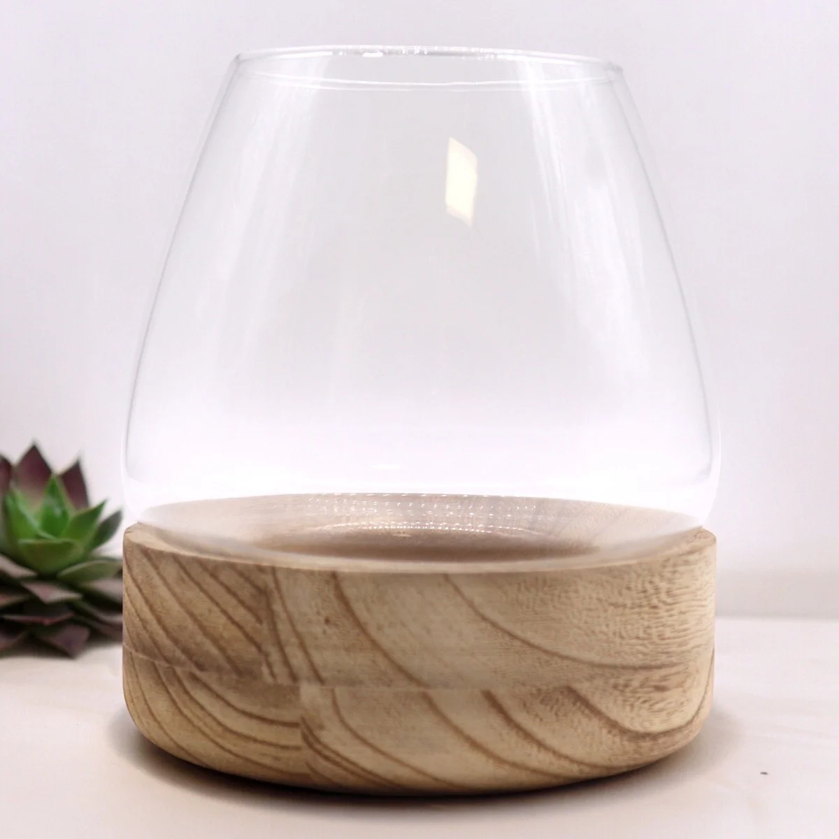 Large terrarium set on a natural tung wood base, showcasing glass enclosure and greenery