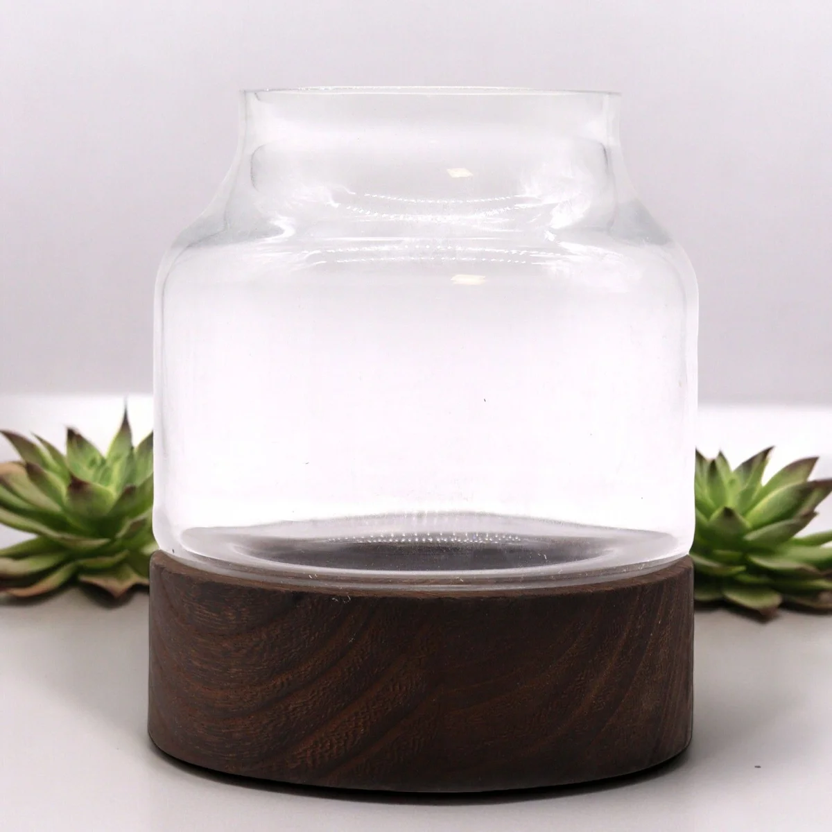 Small shaped terrarium with geometric glass design on dark tung wood base small terrarium on wood accessory