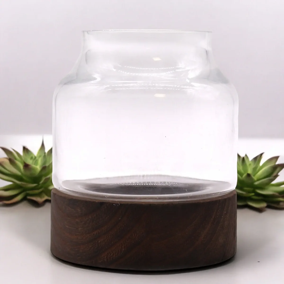 Small decorative terrarium with unique shape on dark tung wood base for home or office decor