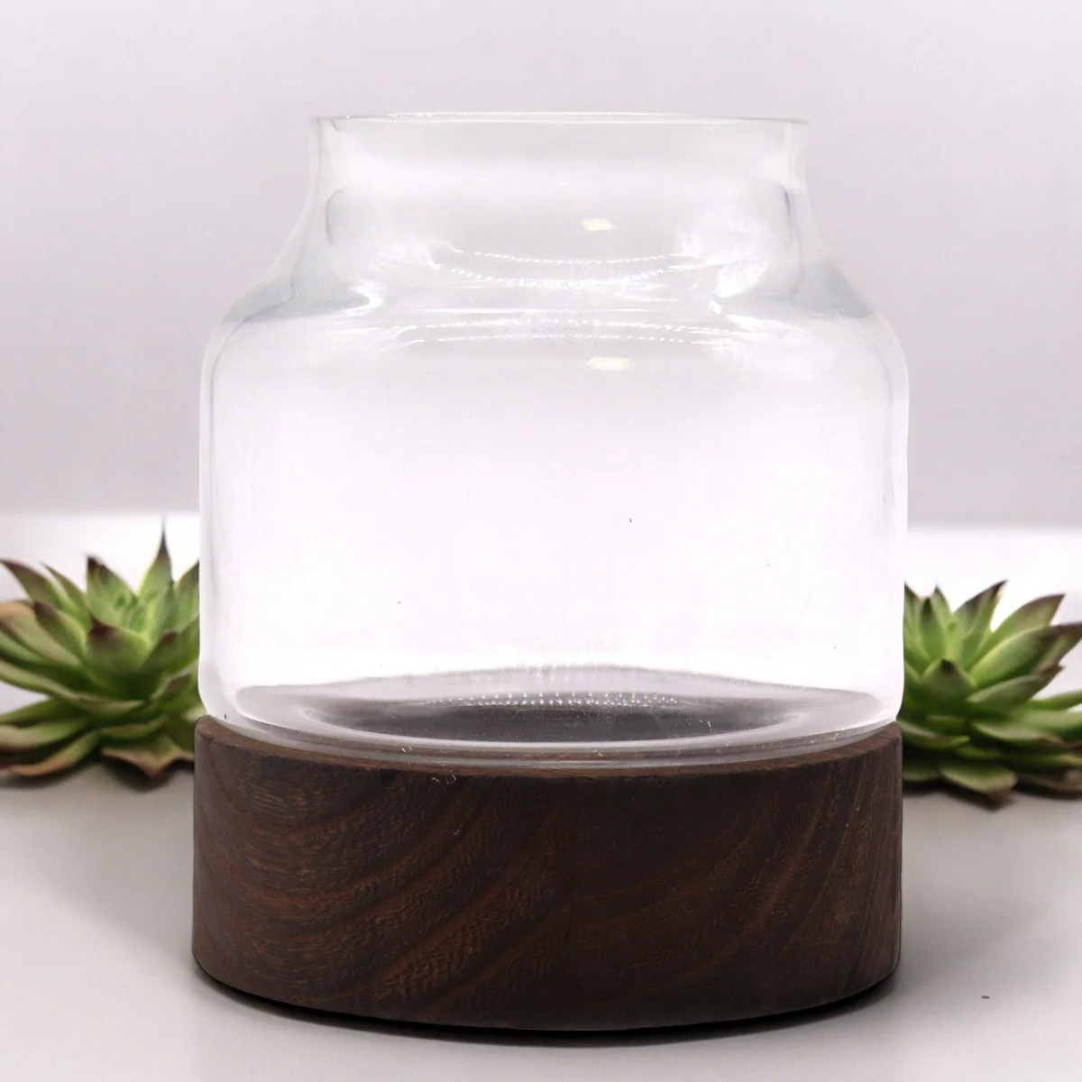 Small shaped terrarium with dark tung wooden base terrarium, showcasing geometric glass design on wooden surface